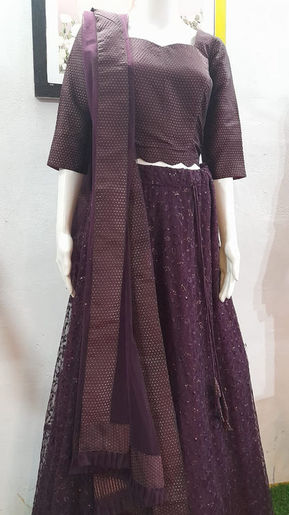 Embroidered net skirt with Semi silk top & Chiffon Dupatta